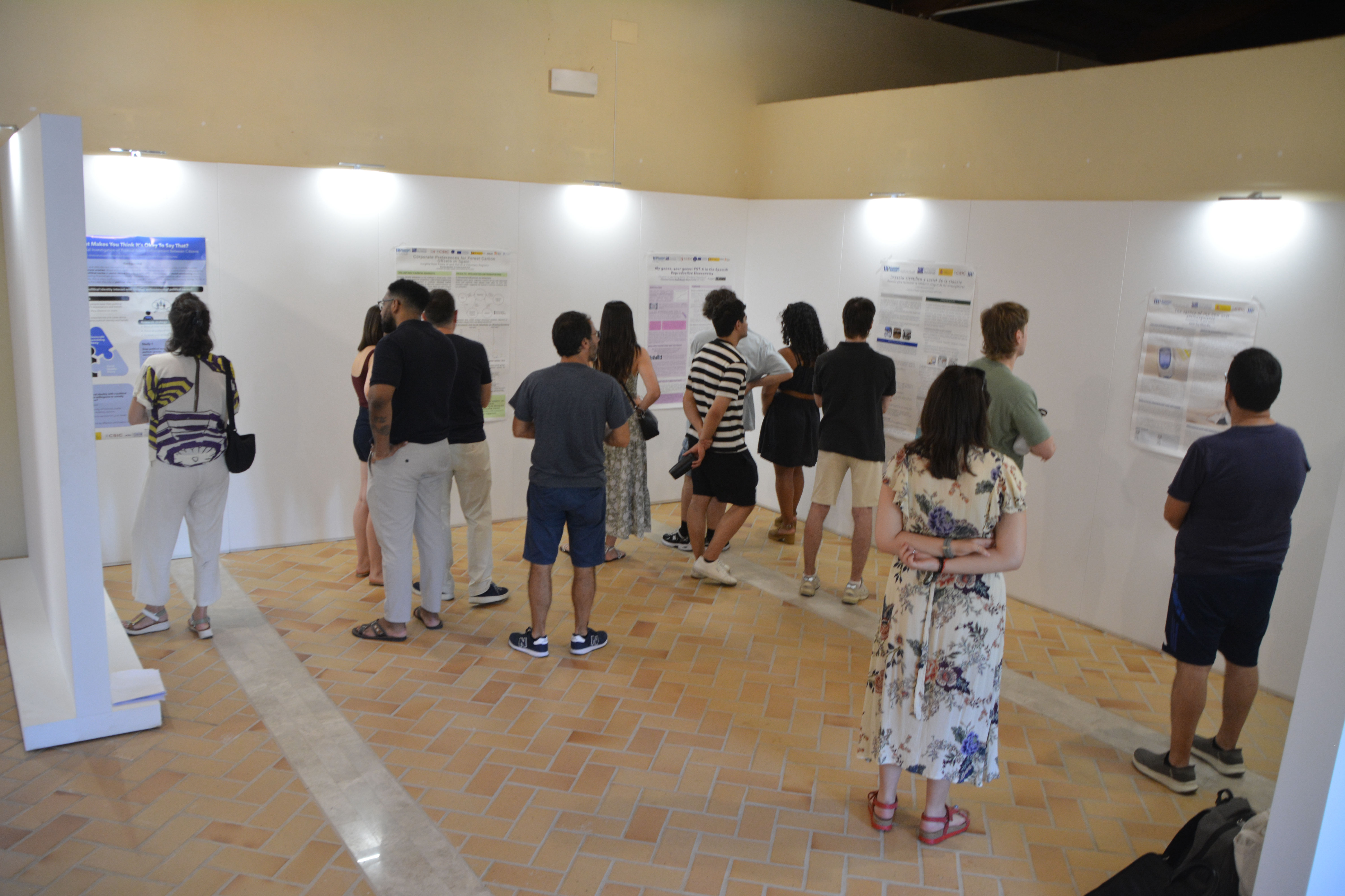 Sesión de póster en el IPP SummerSchool